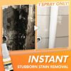 EasyOff Stain & Cement Remover Spray