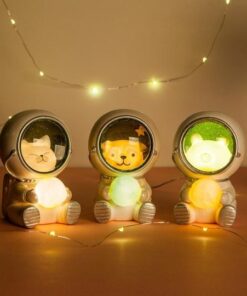 Galaxy Astronaut Pet Light