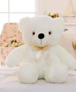 Light Up LED Teddy Bear