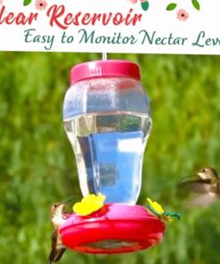 Hummingbird Feeder