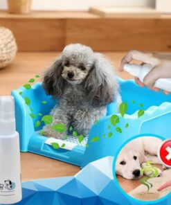 PetPal Potty Training Aid Spray