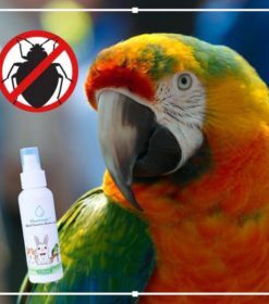 PlantGenic Bird Parasites Removal