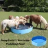PonyBath Portable Paddling Pool